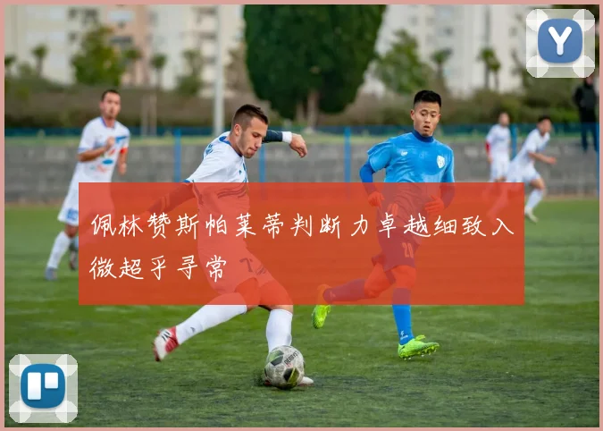 佩林赞斯帕莱蒂判断力卓越细致入微超乎寻常